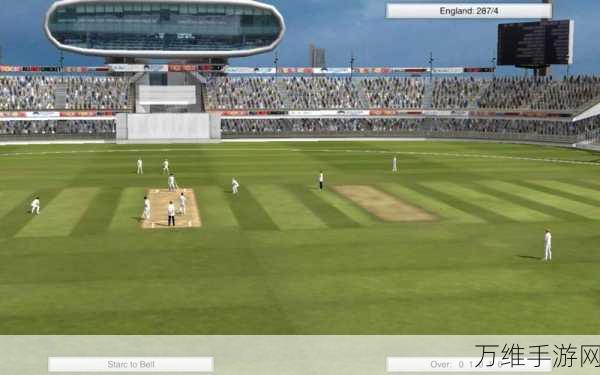 Real Cricket 24,极致板球模拟,热血赛场等你战!