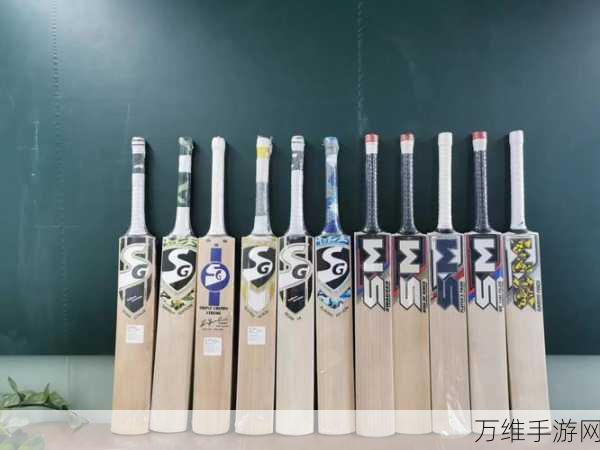Real Cricket 24,极致板球模拟,热血赛场等你战!