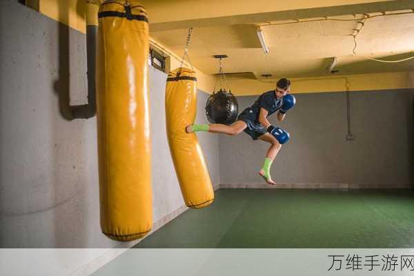 拳击沙袋,热血动作与休闲乐趣的完美融合