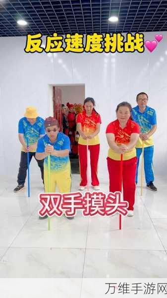 简洁射击闯关新体验,挑战你的射击技巧与反应速度