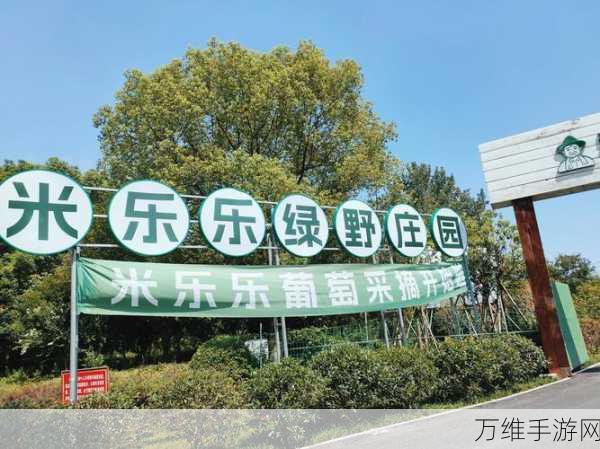 畅玩农场很忙安卓中文版,开启休闲经营之旅