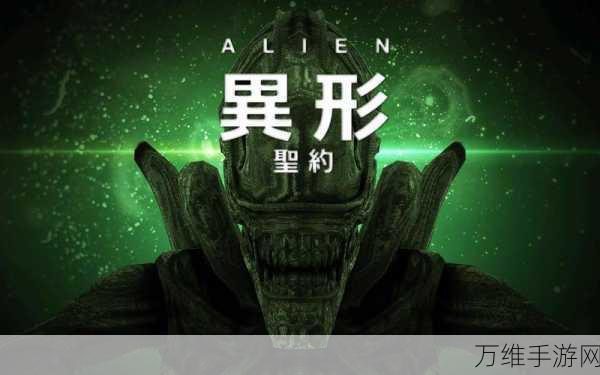 绝美二次元新游元素契约下载开启，探索奇幻世界的契约之旅