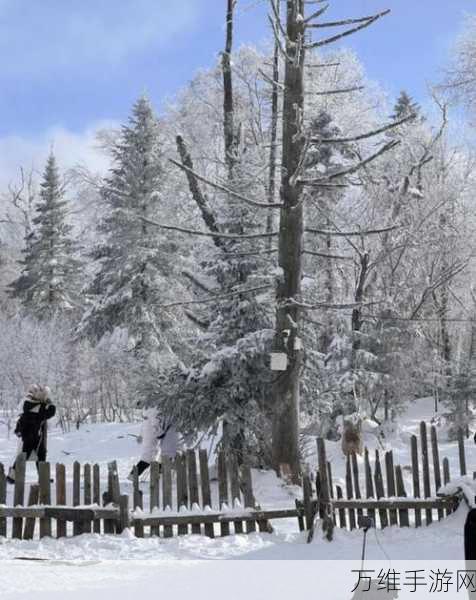 雪天圣诞节,解谜闯关的奇幻之旅