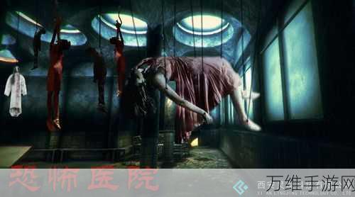 惊悚恐怖医院2中文版震撼发布,胆识与智慧的极限冒险挑战