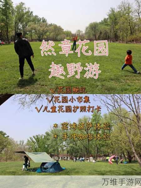 畅玩动物农场破解版,免广告的精彩经营之旅