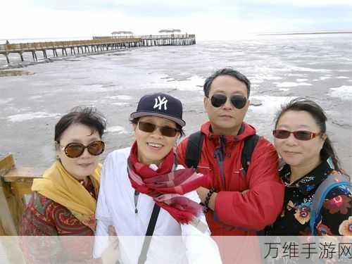 怪物超进化,免广告破解版,策略养成的极致休闲之旅