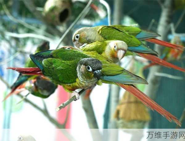 爱宠物,趣味闯关冒险之旅等你开启