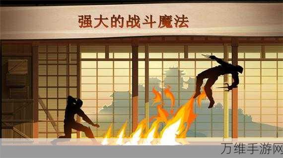 阴影战士,热血竞技,动作对抗新体验