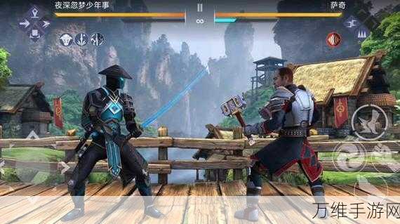 阴影战士,热血竞技,动作对抗新体验