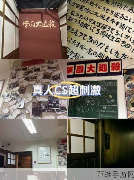 汉化版陌生人案件,沉浸式侦探解谜新体验,挑战你的智慧极限