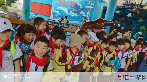 海豚模拟器游戏大全,探索海洋奥秘,与海豚共舞的奇妙之旅