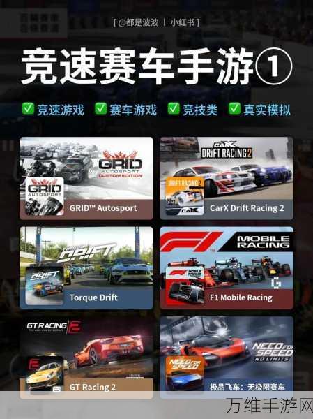 拉力战2手游下载_顶级的拉力竞速游戏