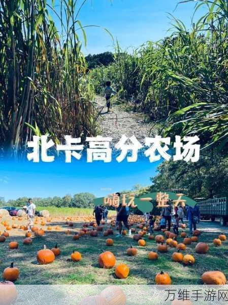 欢乐无限!兔子农场耕地游戏——儿童益智休闲的绝佳选择