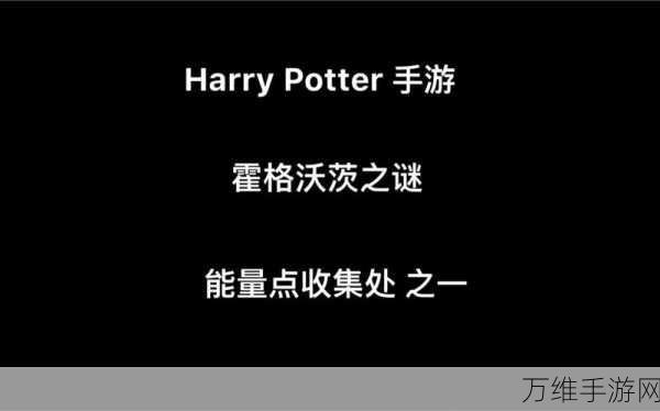 哈利波特迷必玩!霍格沃茨之谜内置菜单版冒险之旅全揭秘