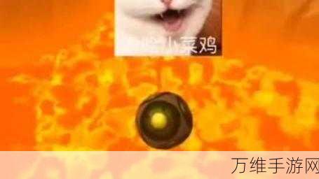 休闲益智新宠,最强菜鸡消除大赛,挑战你的智慧极限!