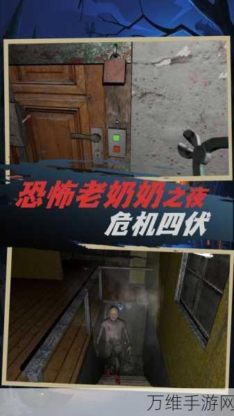 恐怖来袭!探索恐怖老奶奶双人联机版解谜之旅