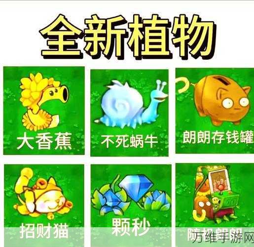 重温经典,植物大战僵尸原版中文版 塔防魅力无限