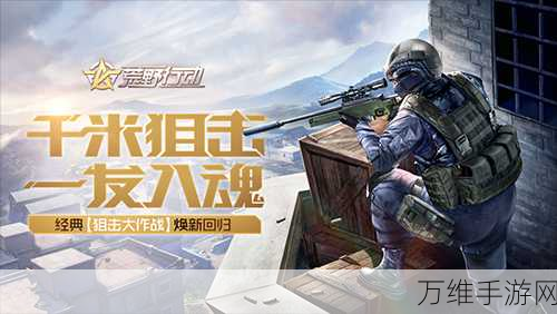 荒野大作战,新颖休闲游戏的畅玩秘籍与精彩对决