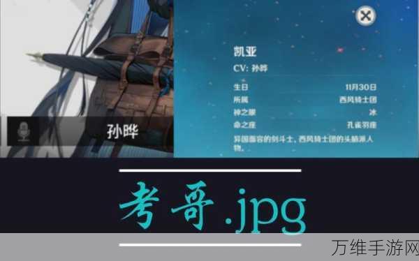 流明骑士,动作盛宴,战斗模式全面升级,中文版最新下载指南