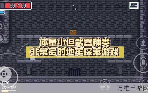 探秘贪婪地牢,全新休闲模拟冒险游戏震撼上线!