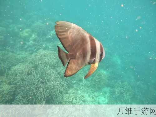 火星探险家中文版震撼上线,满足你对星际探索的所有幻想!
