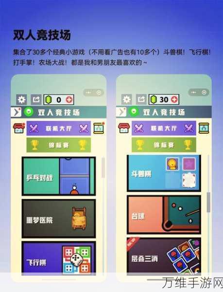 热门双人休闲游戏推荐,与好友共赴欢乐竞技之旅