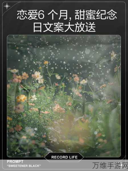 拣爱免费版浪漫上线,穿越秩序,捕捉瞬息即逝的恋爱瞬间