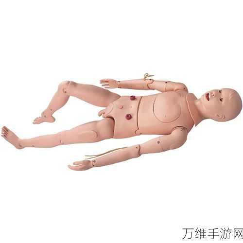 超逼真医学人体模拟器,畅享休闲模拟新体验