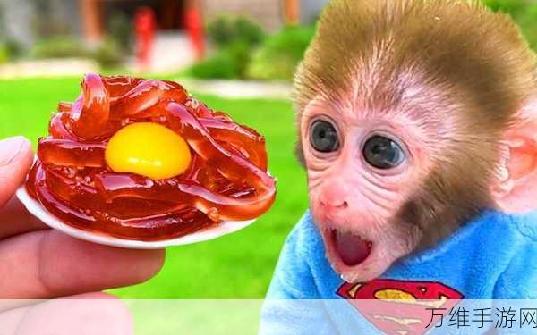 杀马特猴子安卓版,趣味无限的休闲之旅