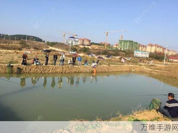 渔夫的钓鱼挑战,畅享休闲垂钓之旅 超多精彩等你解锁