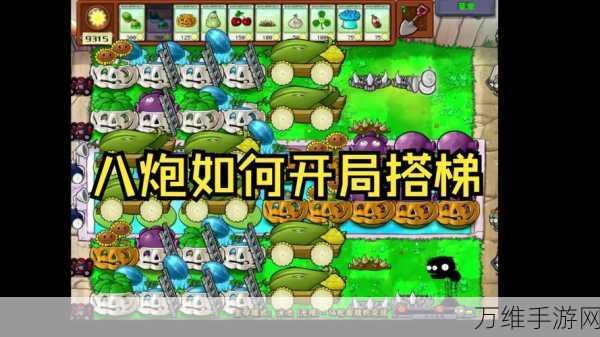 植物大战僵尸白天无尽无抛版,独特玩法打造极致塔防盛宴