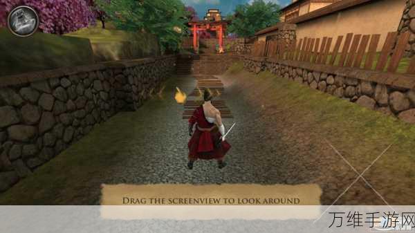 忍者武士隆 2021 全新版,清新卡通动作闯关盛宴
