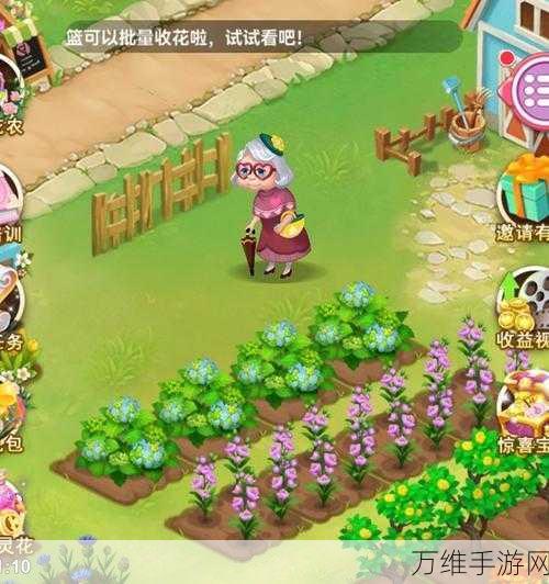 鲜花小镇正版下载,打造梦幻经营乐园