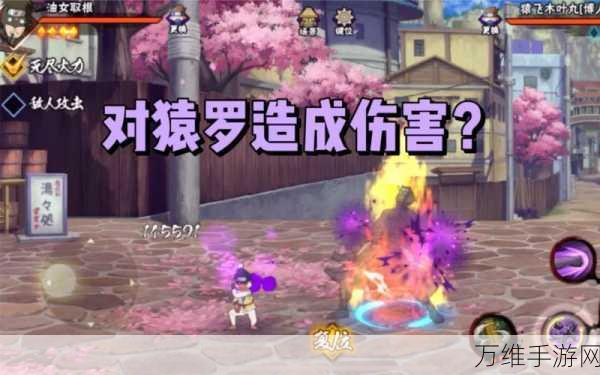 忍者宇根丸 2,刺激无限的冒险解谜之旅