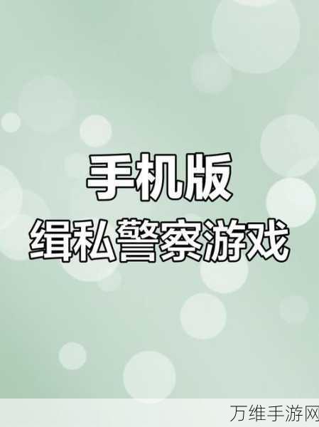 边境检察官,3D 写实风模拟游戏,震撼下载开启