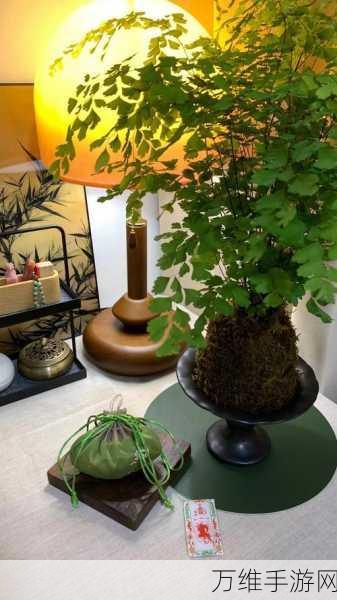 盆景收集,日系暖心盆栽种植游戏中文修改版来袭