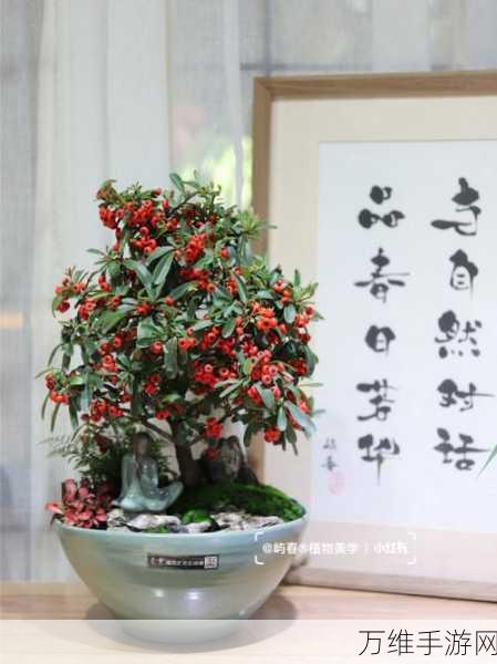 盆景收集,日系暖心盆栽种植游戏中文修改版来袭