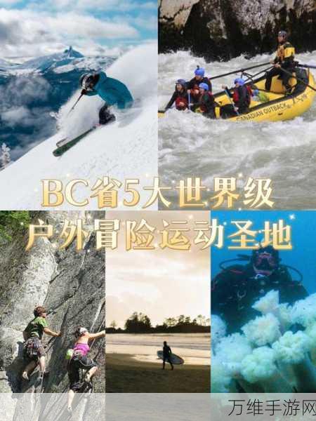 畅玩快乐滑索游戏 5.81 版,户外冒险新体验
