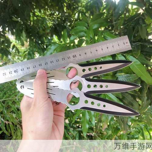 小刀投掷传奇,畅享物理投掷飞刀的极致乐趣