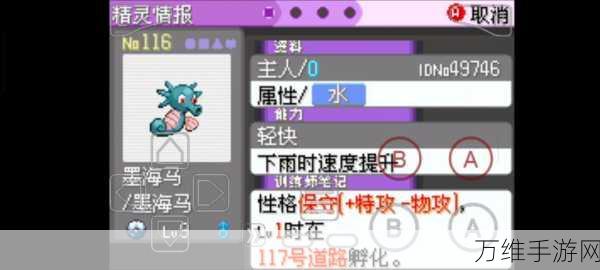 口袋妖怪漆黑的魅影,内置作弊菜单版 惊喜来袭!