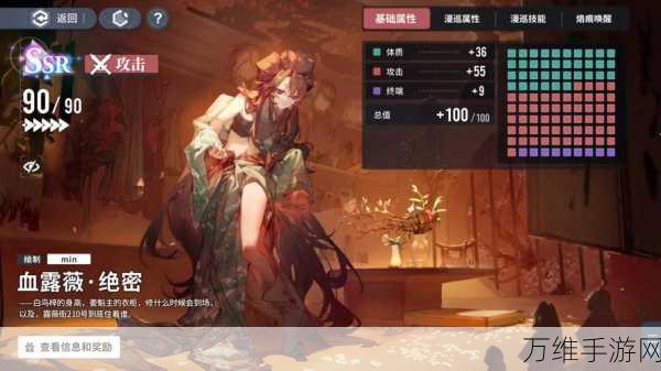 白荆回廊小猫礼品卡高效利用全攻略,解锁珍稀道具与限定福利