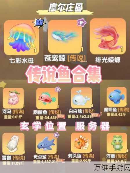 摩尔庄园钓鱼攻略,揭秘刺头鱼的捕获技巧与稀有度分析