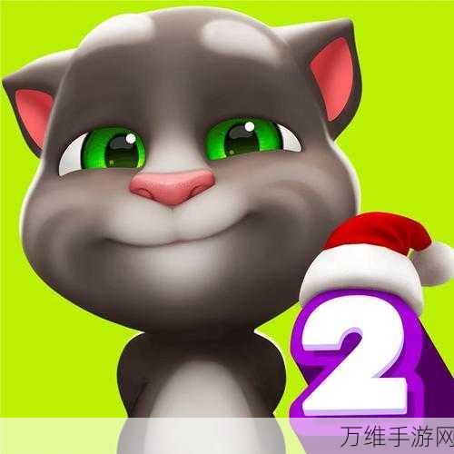 畅玩无限金币版会说话的汤姆猫 2,休闲益智的极致体验