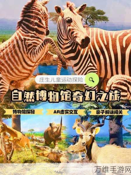 畅爽激战!消灭数字病毒,飞行射击闯关之旅