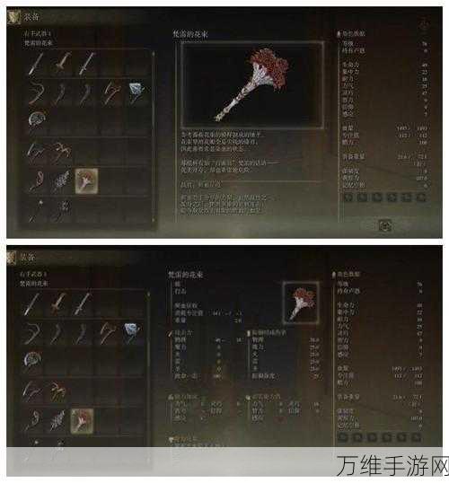 艾尔登法环深度攻略,揭秘白面具支线任务全流程