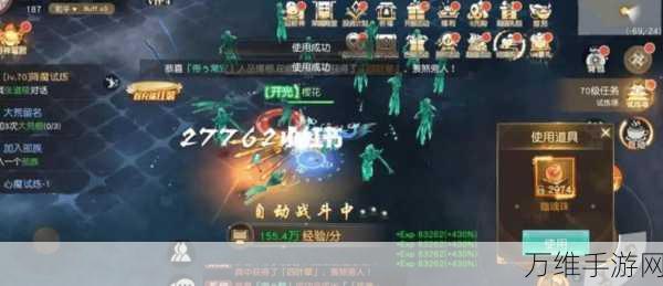 手游攻略,揭秘小小仙王无尽试炼高效通关秘籍