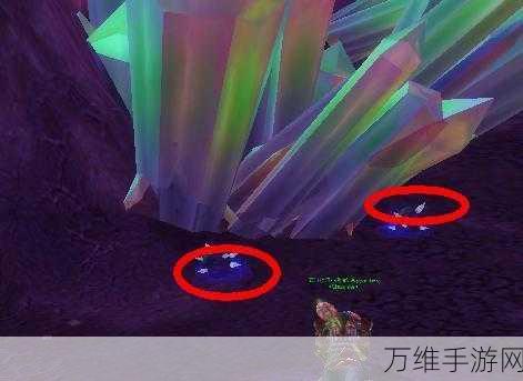 魔兽世界手游攻略,揭秘灵翼龙卵的高效获取之道