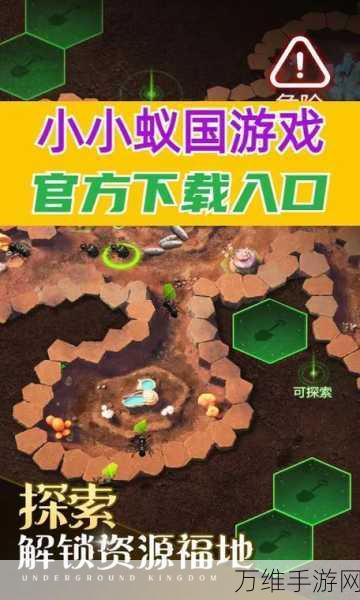 小小蚁国,搬砖攻略大揭秘,打造你的蚂蚁帝国财富之路
