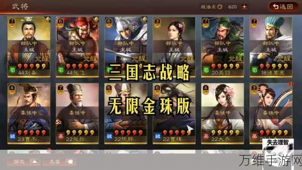 三国志战略版2024金珠礼包大放送,独家兑换码揭秘!