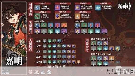 原神嘉明角色深度解析,圣遗物推荐与词条选择终极攻略
